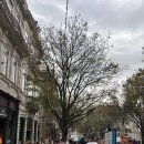 뚜벅뚜벅 세계여행 이미지