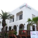 강정2442 꽃피우다 이미지