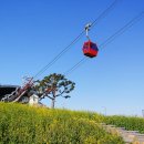 초양도주차장 이미지