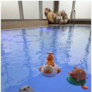 에이지하우스 키즈 이미지