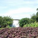 선주농장 이미지