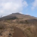 용연목장 이미지