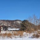 백토미가 | 봉평 옥봉식당 순댓국 후기｜태기산 산행 후 따뜻한 한 끼
