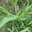 운남농장 이미지