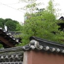 사시장춘
