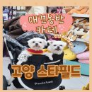 신산커피하우스스타필드고양 | 스타필드 고양 커피 맛집 멍푸치노가있는 애견동반카페 추천