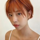 차홍룸 압구정