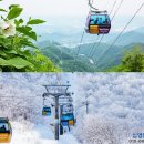 드레곤밸리 호텔 티스토리