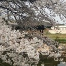 면천면보건지소 이미지