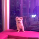 스파트리송정 이미지