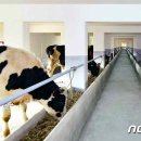 기조목장 이미지