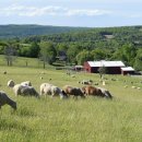 여운목장 이미지