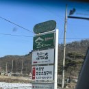 숲을 그리다 이미지