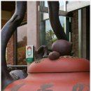 지전부페 이미지