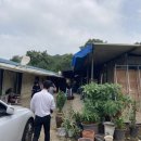 시골옻닭 이미지