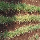 해오름길 이미지