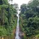[발리여행] 로비나 비치 길목 갈만한 여행지 추천 깃깃 폭포와 전망대 Gitgit Waterfall, Twin Lake View