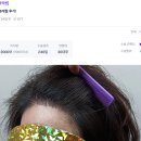 헤어2000 티스토리