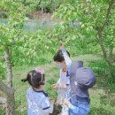 마리들농장 이미지