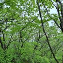 달밭골나눔터 이미지