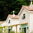 대지팜스 이미지