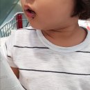 11590-가49 | 송도 코스트코 이것저것 사오기