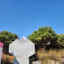 만발 | 경남 샨청 생초 꽃잔디 만발 축제 후기/ 조계종 수선사 절