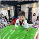 MTA 늘푸른 태권도 이미지