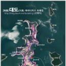 대도카메라
