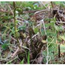 월산목장(2) 이미지