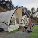 청솔 | 바베큐 미쳤다… 🥩 대구근교글램핑 추천, 고령 청솔글램핑 솔직후기