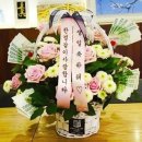 잔비어스 이미지