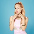 민트컴퍼니