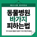 경산축산농협 동물병원 | [동물 병원 바가지 안 쓰는 법] 🐶 동물 병원 진료비 미리 확인하는 초간단 방법, 동물 병원 진료비 너무...