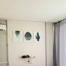 제주놀3320 이미지