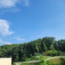 참다운요양병원 이미지