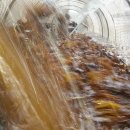 완도화목식품 이미지