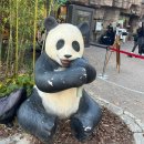 용인 에버랜드 판다월드 스마트줄서기 현장줄서기 주말웨이팅 레서판다 바오패밀리 실물후기