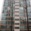 분당-142 이미지