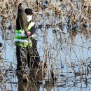 가래치기 이미지