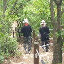 장미원 (산림욕장) 이미지