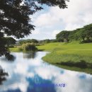 후니골프 이미지