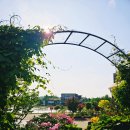 무인카페데이지 이미지