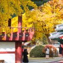 전주향교 이미지