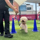 신성장 기업혁신 공공지원 허브 조성사업 | 서대문구 지역구조와 정책체계 분석_④ 2025년 서대문구 주요사업