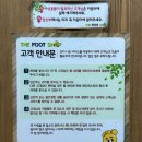 송내역 | 부천 송내역 더풋샵마사지 후기