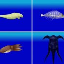 스크린 여행 일본어 이미지