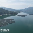 양구수상태양광