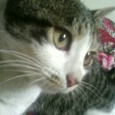 원미보건소 이미지