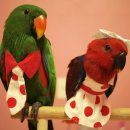 미실농장 이미지